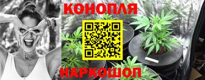 индика Кизилюрт