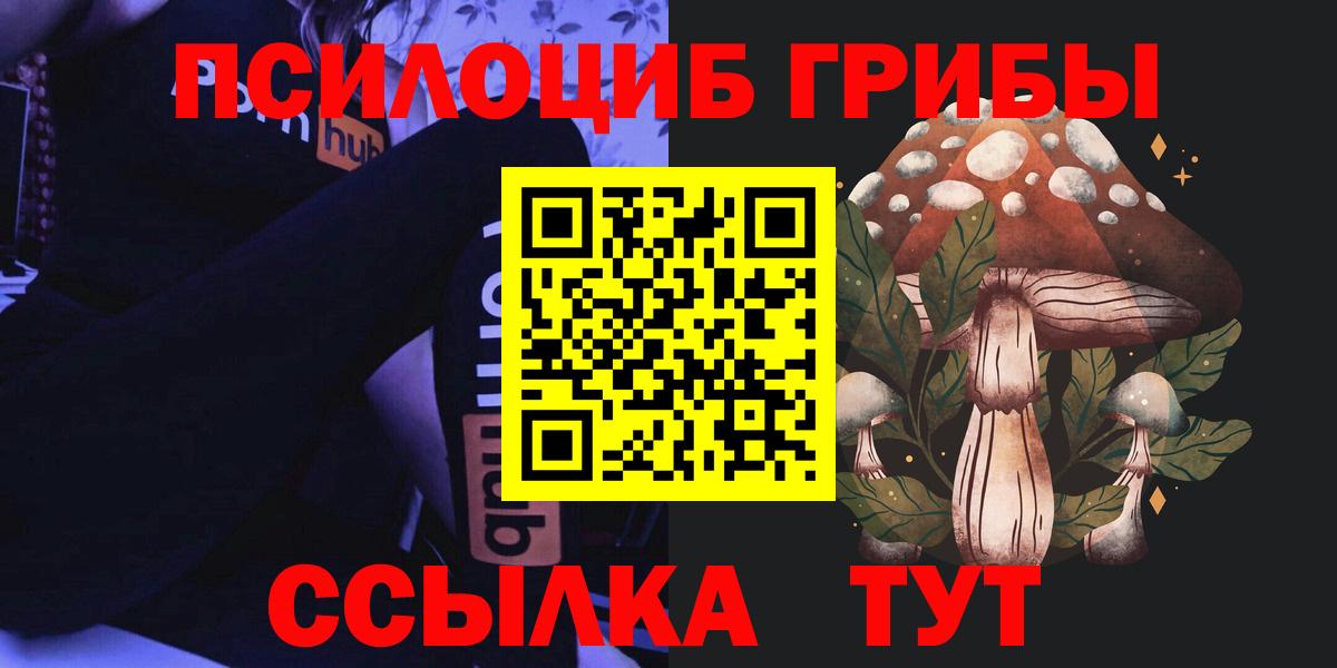 Нягань  Псилоцибиновые грибы MAGIC MUSHROOMS  Вход с VPN 